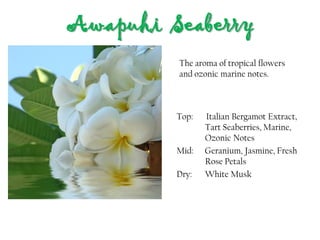 Awapuhi Seaberry
Top: Italian Bergamot Extract,
Tart Seaberries, Marine,
Ozonic Notes
Mid: Geranium, Jasmine, Fresh
Rose Petals
Dry: White Musk
The aroma of tropical flowers
and ozonic marine notes.
 