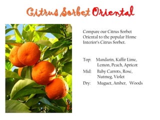 Citrus Sorbet Oriental
Top: Mandarin, Kaffir Lime,
Lemon, Peach, Apricot
Mid: Baby Carrots, Rose,
Nutmeg, Violet
Dry: Muguet, Amber, Woods
Compare our Citrus Sorbet
Oriental to the popular Home
Interior’s Citrus Sorbet.
 