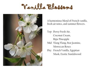 Vanilla Blossoms
Top: Dewy Fresh Air,
Coconut Cream,
Ripe Pineapple
Mid: Ylang Ylang, Star Jasmine,
Moroccan Roses
Dry: French Vanilla, Egyptian
Musk, Exotic Sandalwood
A harmonious blend of French vanilla,
fresh air notes, and summer flowers.
 