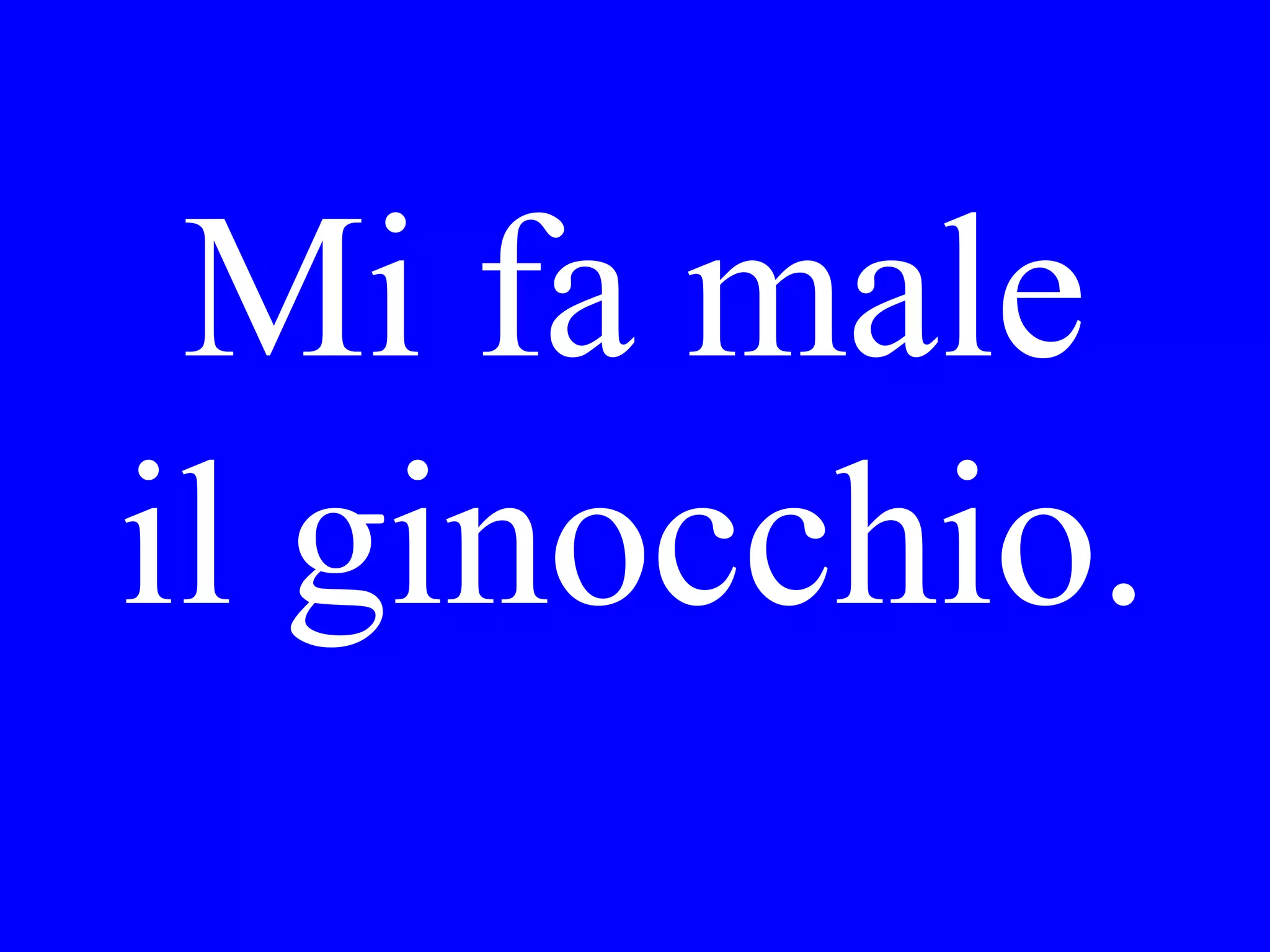 a bottle of wine
for the table
with 4 glasses
 