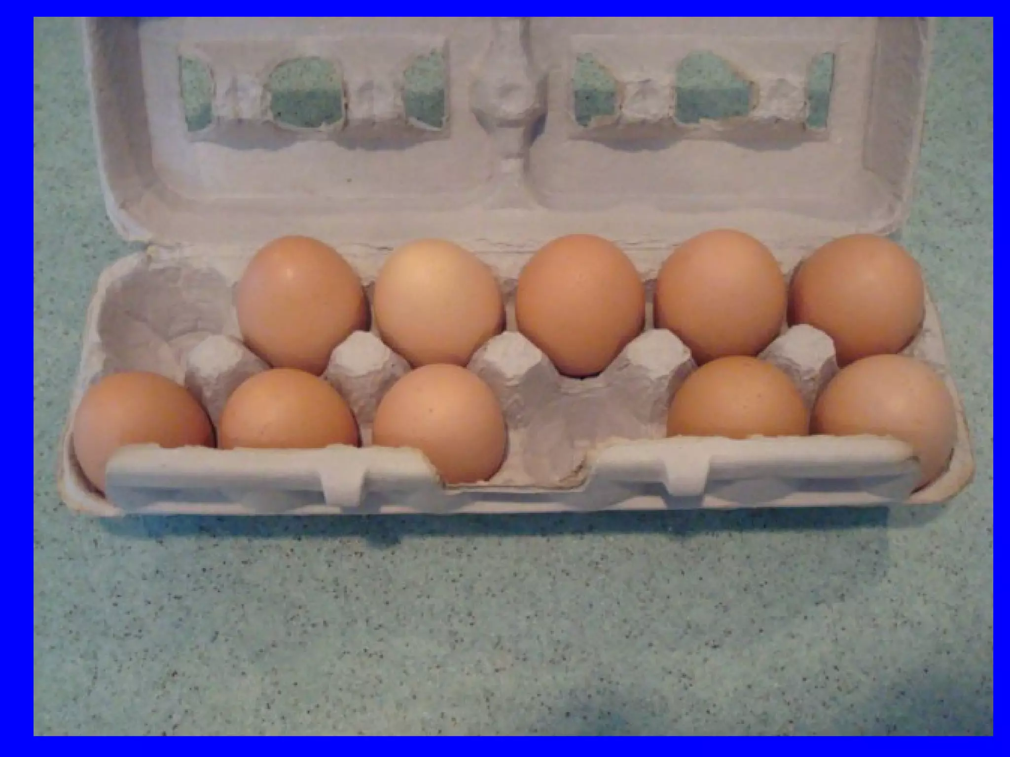 Ha l’albergo una
navetta o
dobbiamo
prendere un tassì?
 