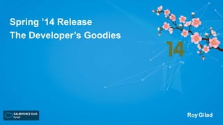 Spring ’14 Release
The Developer’s Goodies

Roy Gilad

 