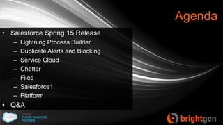 Agenda
• Salesforce Spring 15 Release
– Lightning Process Builder
– Duplicate Alerts and Blocking
– Service Cloud
– Chatter
– Files
– Salesforce1
– Platform
• Q&A
 