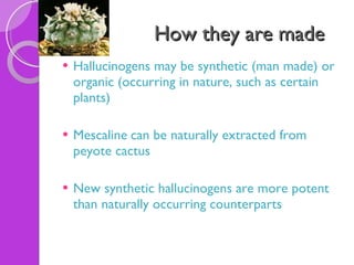 How they are made Hallucinogens may be synthetic (man made) or organic (occurring in nature, such as certain plants) Mescaline   can be naturally extracted from peyote cactus  New synthetic hallucinogens are more potent than naturally occurring counterparts 