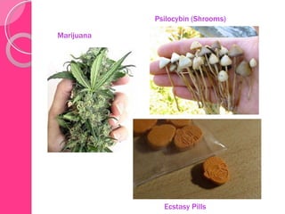 Marijuana Psilocybin (Shrooms) Ecstasy Pills 