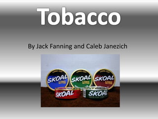 Tobacco By Jack Fanning and Caleb Janezich 