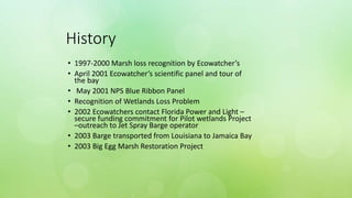 History
• 1997-2000 Marsh loss recognition by Ecowatcher’s
• April 2001 Ecowatcher’s scientific panel and tour of
the bay
...