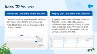 Spring' 23 Release Notes - Lausanne Salesforce User Group.pptx