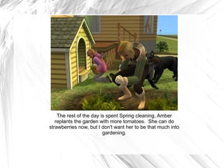 The rest of the day is spent Spring cleaning, Amber replants the garden with more tomatoes.  She can do strawberries now, but I don't want her to be that much into gardening. 