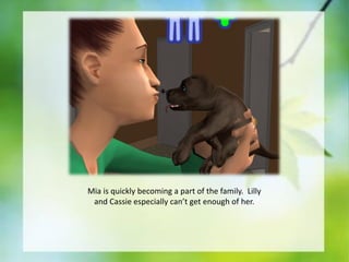 Mia is quickly becoming a part of the family. Lilly
and Cassie especially can’t get enough of her.

 