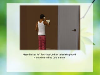 After the kids left for school, Ethan called the pound.
It was time to find Cola a mate.

 