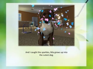 And I caught the sparkles, Mia grows up into
the cutest dog.

 