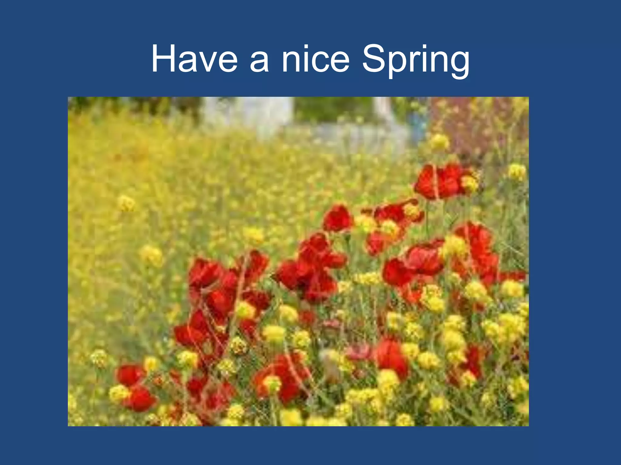 Have a nice Spring
 