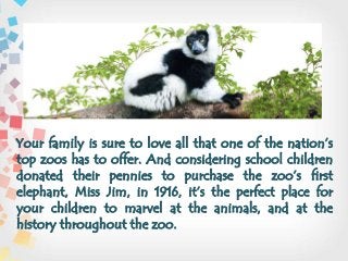 Your family is sure to love all that one of the nation’s
top zoos has to offer. And considering school children
donated their pennies to purchase the zoo’s first
elephant, Miss Jim, in 1916, it’s the perfect place for
your children to marvel at the animals, and at the
history throughout the zoo.
 