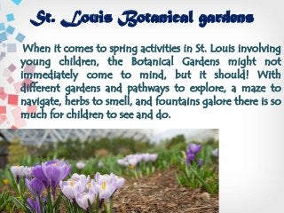 St. Louis Botanical gardens
When it comes to spring activities in St. Louis involving
young children, the Botanical Gardens might not
immediately come to mind, but it should! With
different gardens and pathways to explore, a maze to
navigate, herbs to smell, and fountains galore there is so
much for children to see and do.
 