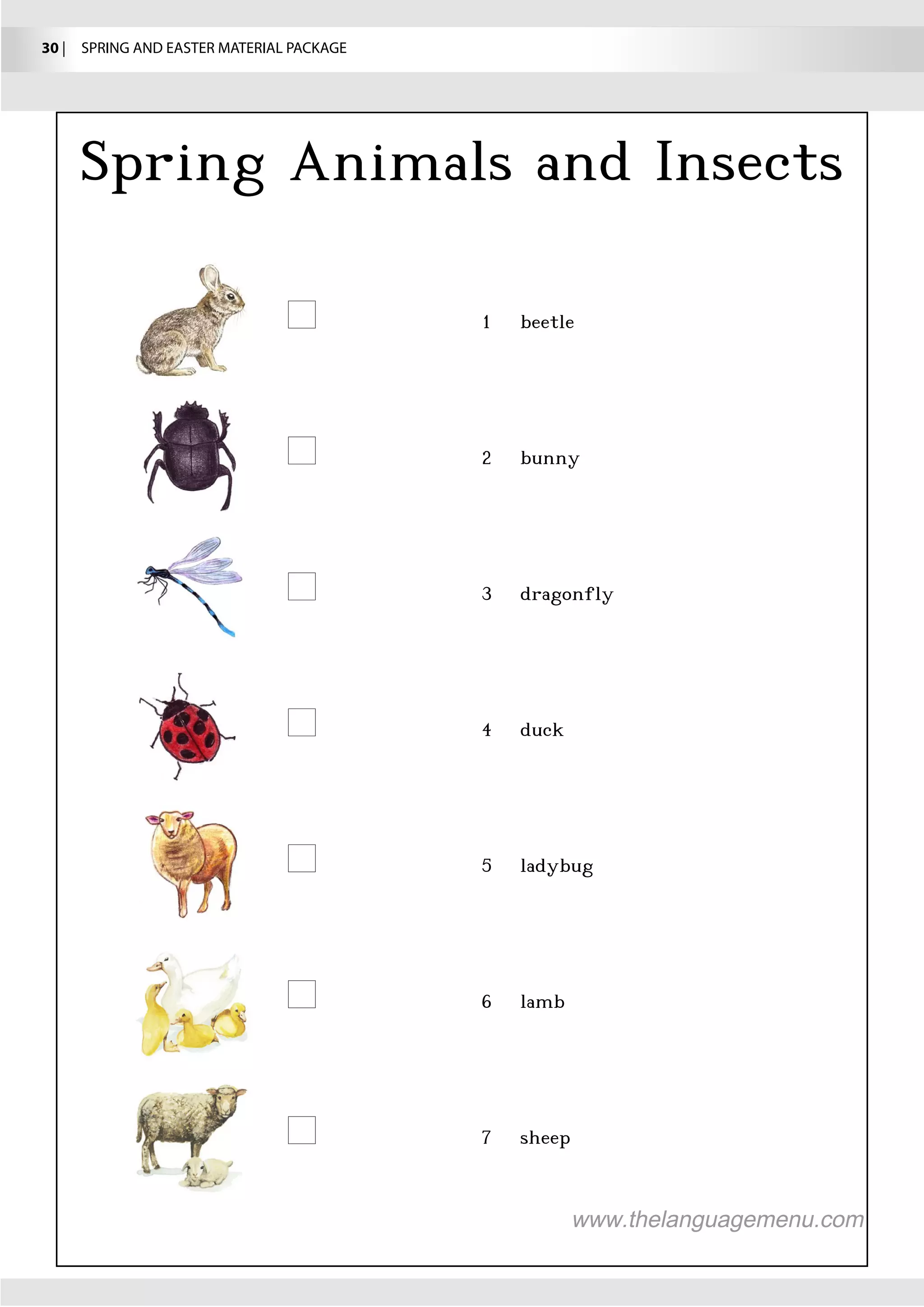 30 |  SPRING AND EASTER MATERIAL PACKAGE
 