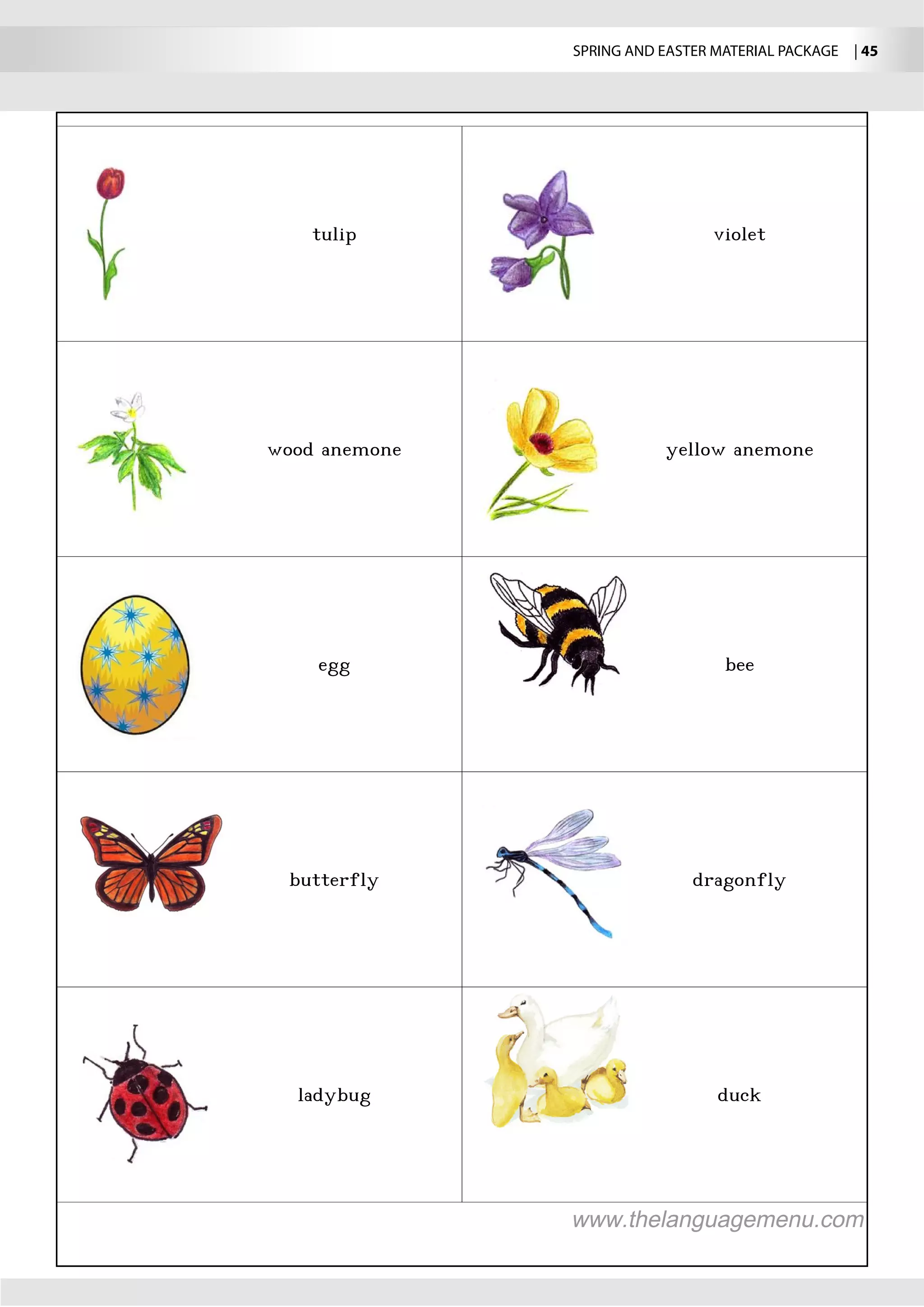 SPRING AND EASTER MATERIAL PACKAGE  | 45
 