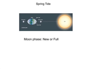 Spring Tide
Moon phase: New or Full