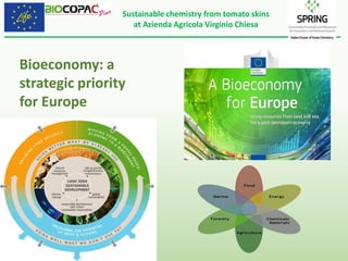 Sustainable chemistry from tomato skins
at Azienda Agricola Virginio Chiesa
Logo partner
Bioeconomy: a
strategic priority
for Europe
 