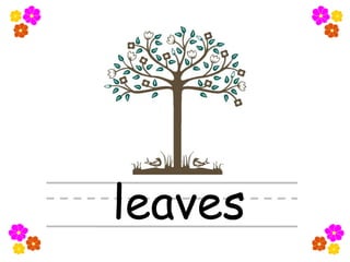 Spring Flashcards | PPT