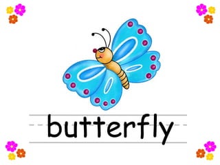 butterfly
 
