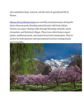 Hunza Blossom Tour. Hunza Cherry Blossom Tour | PDF