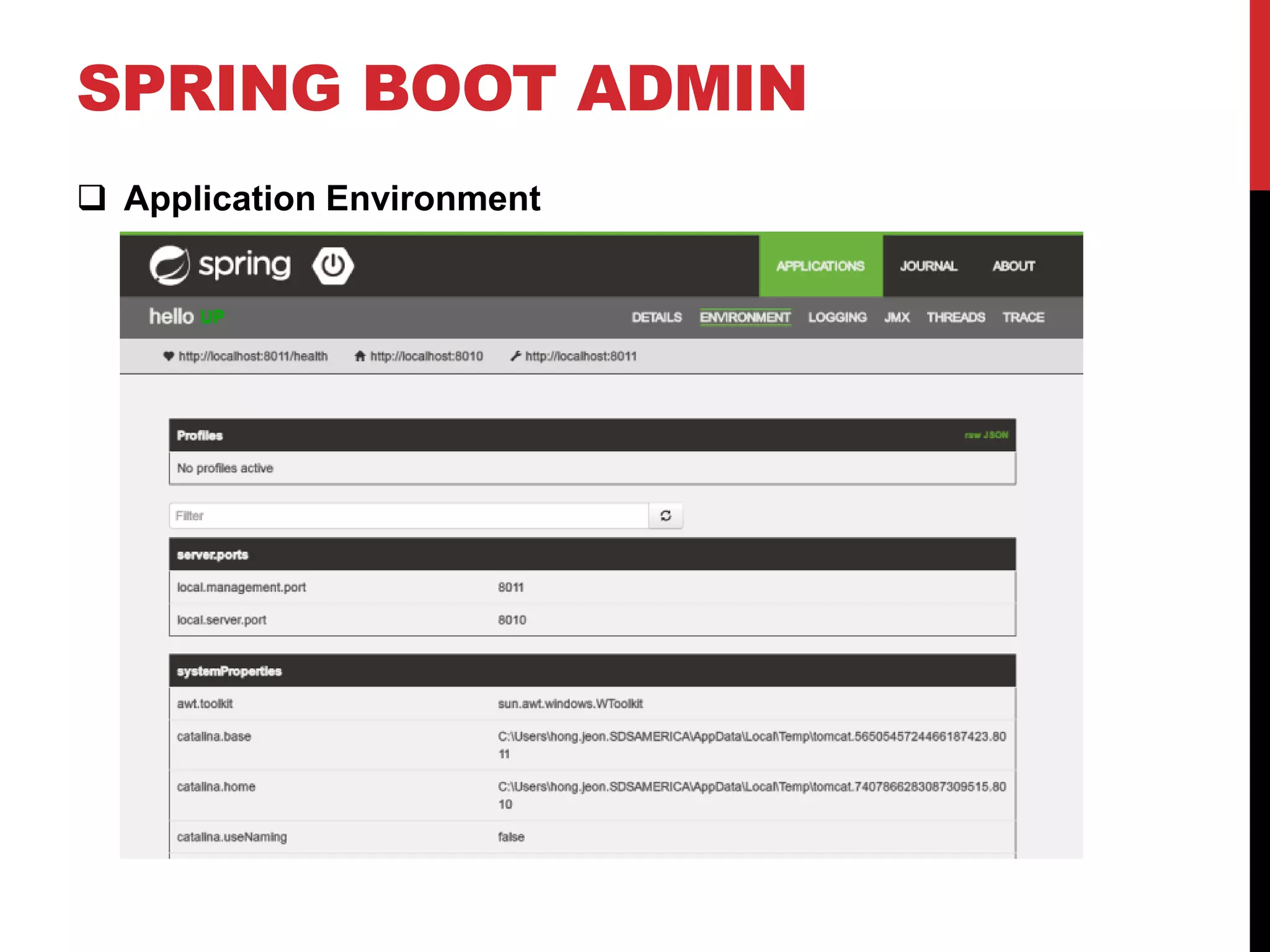 SPRING BOOT ADMIN
 Application Environment
 