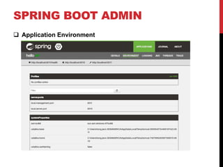 SPRING BOOT ADMIN
 Application Environment
 