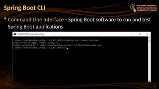 15
 Command Line Interface - Spring Boot software to run and test
Spring Boot applications
Spring Boot CLI
 