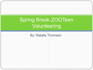 Spring Break ZOOTeen
     Volunteering
   By: Natalie Thomsen
 