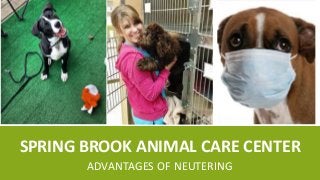 SPRING BROOK ANIMAL CARE CENTER
ADVANTAGES OF NEUTERING
 