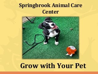 Springbrook Animal Care
Center
Grow with Your Pet
 