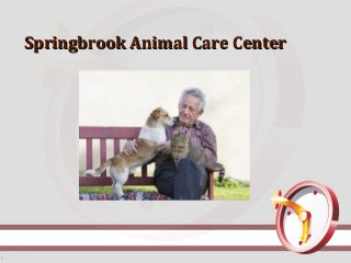 Springbrook Animal Care CenterSpringbrook Animal Care Center
 