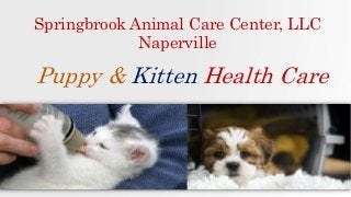 Puppy & Kitten Health Care
Springbrook Animal Care Center, LLC
Naperville
 