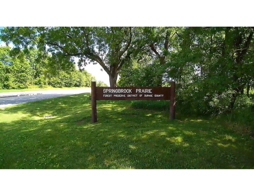 Springbrook Prairie Forest Preserve at 30 minutes drive to the east of
