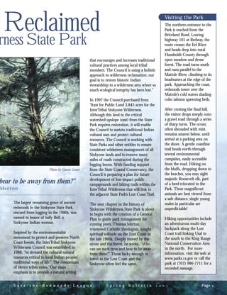 Reclaimed
rness State Park
The largest remaining grove of ancient
redwoods in the Sinkyone State Park,
rescued from logging in the 1980s, was
named in honor of Sally Bell, a
Sinkyone Indian woman.
Inspired by the environmentalist
movement to protect and preserve North
Coast forests, the InterTribal Sinkyone
Wilderness Council was established in
1986, “to steward the cultural-natural
resources critical to local Indian peoples’
traditional ways of life.” The consortium
of eleven tribes notes,“Our main
emphasis is to provide a natural setting
that encourages and increases traditional
cultural practices among local tribal
members. The Council is using a holistic
approach to wilderness reclamation; our
goal is to restore historic Indian
stewardship to a wilderness area where so
much ecological integrity has been lost.”
In 1997 the Council purchased from
Trust for Public Land 3,845 acres for the
InterTribal Sinkyone Wilderness.
Although this land in the critical
watershed upslope (east) from the State
Park requires restoration, it will enable
the Council to sustain traditional Indian
cultural uses and protect cultural
resources. The Council is working with
State Parks and other entities to ensure
consistent wilderness management of all
Sinkyone lands and to remove many
miles of roads constructed during the
logging boom. With funding support
from the State Coastal Conservancy, the
Council is preparing a plan for future
development of low-impact public
campgrounds and hiking trails within the
InterTribal Wilderness that will link to
the adjacent State Park’s Lost Coast Trail.
The next chapter in the history of
Sinkyone Wilderness State Park is about
to begin with the creation of a General
Plan to guide park management for
coming years. Thomas Merton,
renowned Catholic theologian, sought
spiritual solitude on the Lost Coast in
the late 1960s. Deeply moved by the
ocean and the forest, he wrote, “Who
can see such trees and bear to be away
from them?” Those lucky enough to
travel to the Lost Coast and the
Sinkyone often feel the same.
S a v e - t h e - R e d w o o d s L e a g u e | S p r i n g B u l l e t i n     Page 
Photo by Carrie Grant
bear to be away from them?”
Merton
Visiting the Park
The northern entrance to the
Park is reached from the
Briceland Road. Leaving
highway 101 at Redway, the
route crosses the Eel River
and heads deep into rural
Humboldt County through
open meadow and dense
forest. The road turns south
and runs parallel to the
Mattole River, climbing to its
headwaters at the edge of the
park. Approaching the coast,
redwoods tower over the
Mattole’s cold waters shading
coho salmon spawning beds.
After cresting the final hill,
the visitor drops steeply onto
a gravel road through a series
of sharp turns. The ocean,
often shrouded with mist,
remains unseen below, until
arrival at a parking area on
the shore. A gentle coastline
trail heads north through
several environmental
campsites, easily accessible
from the road. Hiking on
the bluffs, dropping down to
the beaches, you may sight
majestic Roosevelt elk, part
of a herd relocated to the
Park. These magnificent
animals are best viewed from
a safe distance; single young
males in particular are
unpredictable!
Hiking opportunities include
an adventurous multi-day
backpack along the Lost
Coast trail linking Usal in
the south to the King Range
National Conservation Area
in the north. For more
information, visit the web at
www.parks.ca.gov or call the
park at (707) 986-7711 for a
recorded message.
 