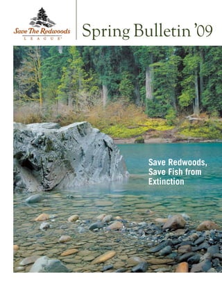 Save Redwoods,
Save Fish from
Extinction
Spring Bulletin’09®
 
