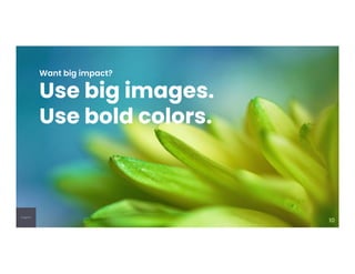 Spring campaign planning 2021