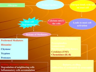 Allergens Ocular Surface Allergen binds with IgE
on mast cell
Leads to mast cell
activation
Preformed Mediators
Histamine
Chymase
Tryptase
Proteases
Itching , Redness , Swelling
Degradation of neighboring cells
Inflammatory cells accumulation
Newly Formed Mediators
Prostaglandins
Leukotrienes
Platelet-activating factors
Cytokines (TNF)
Chemokines (IL-8)
Redness, swelling
Infiltration of eosinophils & neutrophils
Calcium enters
the cells
Mast cell
degranulation
Release of Mediators
 