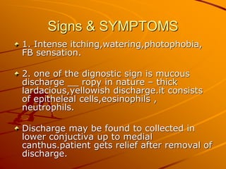 Signs & SYMPTOMS
1. Intense itching,watering,photophobia,
FB sensation.
2. one of the dignostic sign is mucous
discharge __ ropy in nature – thick
lardacious,yellowish discharge.it consists
of epitheleal cells,eosinophils ,
neutrophils.
Discharge may be found to collected in
lower conjuctiva up to medial
canthus.patient gets relief after removal of
discharge.
 