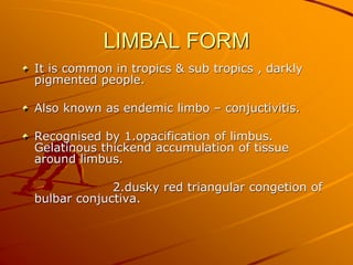 LIMBAL FORM
It is common in tropics & sub tropics , darkly
pigmented people.
Also known as endemic limbo – conjuctivitis.
Recognised by 1.opacification of limbus.
Gelatinous thickend accumulation of tissue
around limbus.
2.dusky red triangular congetion of
bulbar conjuctiva.
 