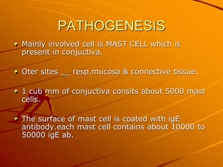 PATHOGENESIS
Mainly involved cell is MAST CELL which is
present in conjuctiva.
Oter sites __ resp.mucosa & connective tissue.
1 cub mm of conjuctiva consits about 5000 mast
cells.
The surface of mast cell is coated with igE
antibody.each mast cell contains about 10000 to
50000 igE ab.
 