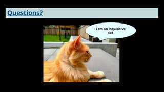 Questions?
I am an inquisitive
cat
 