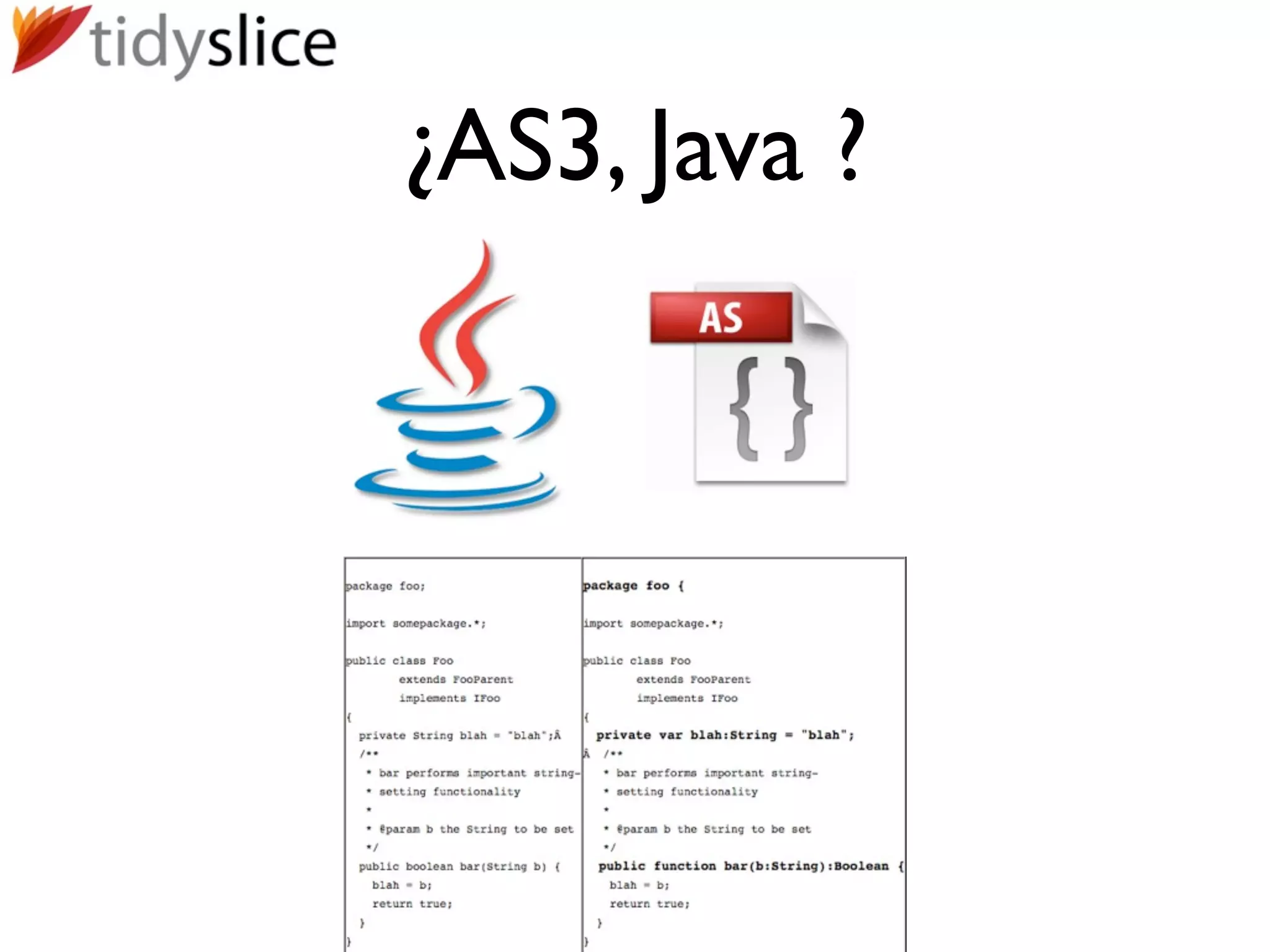 ¿AS3, Java ?
 
