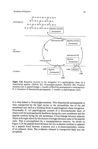 bacterial-metabolism | PDF