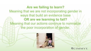 Failing to learn or learning to fail? A meta-analysis of evaluations of gender in Ethiopian agricultural development