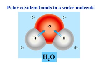 Polar covalent bonds in a water molecule H 2 O 