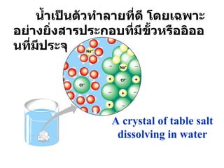 A crystal of table salt dissolving in water น้ำเป็นตัวทำลายที่ดี โดยเฉพาะอย่างยิ่งสารประกอบที่มีขั้วหรืออิออนที่มีประจุ 