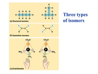 Three types of isomers 