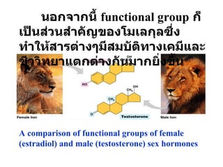 A comparison of functional groups of female (estradiol) and male (testosterone) sex hormones นอกจากนี้  functional group   ก็เป็นส่วนสำคัญของโมเลกุลซึ่งทำให้สารต่างๆมีสมบัติทางเคมีและชีววิทยาแตกต่างกันมากยิ่งขึ้น 